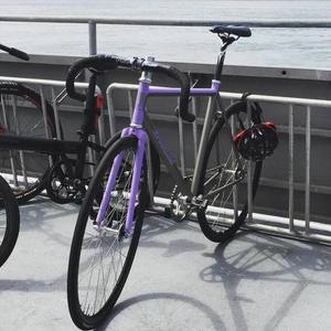 2015 Broakland Track fighter Silver or Gray and Purple