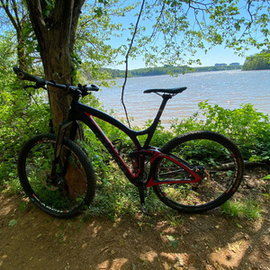 2015 Niner Jet RDO Black, Red, and Silver, gray or bare metal
