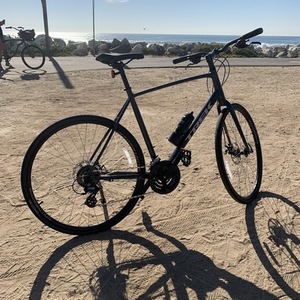 2021 Trek FX 1 Disc Silver, gray or bare metal