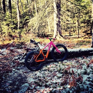 2016 Salsa Beargrease Carbon Pink and Orange