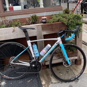 2019 Specialized Allez Silver, gray or bare metal