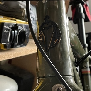2021 Salsa Green