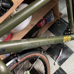 2021 Salsa Green
