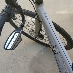 2021 Liv Alight 2 DD Silver, gray or bare metal