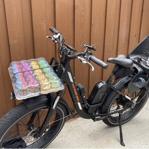 2020 Rad Power Bikes Radrover 5 Black