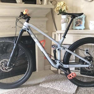 2019 Trek Fuel EX 9.8 29 Silver, gray or bare metal