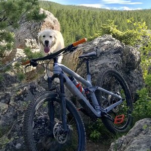 2019 Trek Fuel EX 9.8 29 Silver, gray or bare metal