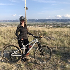 2019 Trek Fuel EX 9.8 29 Silver, gray or bare metal