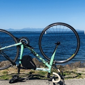 2013 Felt ZW5 (Women’s) Black and Teal