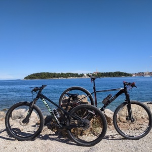2020 Specialized Rockhopper Sport Green