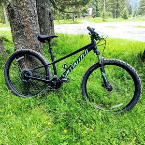 2020 Specialized Rockhopper Sport Green