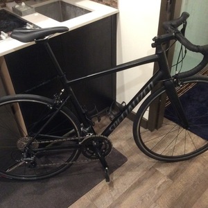 2019 Specialized Black