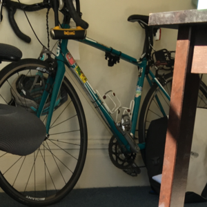 2013 Giant Avail 2 Teal and Stickers tape or other cover-up