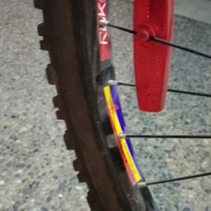 RBK Oregon WID Teal and Green