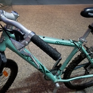 RBK Oregon WID Teal and Green