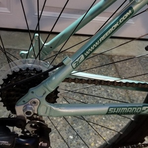 RBK Oregon WID Teal and Green