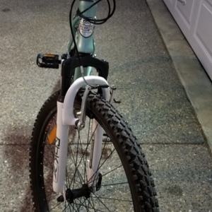 RBK Oregon WID Teal and Green