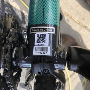 2021 Cannondale Black and Green