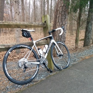 2015 Giant Defy Advanced 2 Silver or Gray