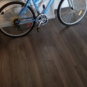 2004 Premium Infinity Blue and Silver, gray or bare metal