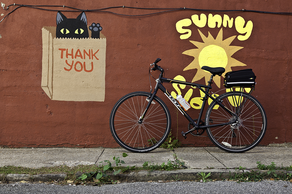 2013 GT Bicycles Zum
