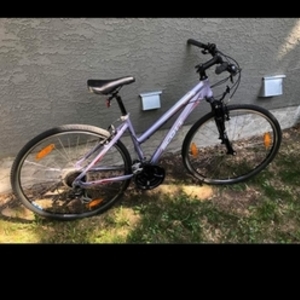 SCOTT Sportster Lady S Purple