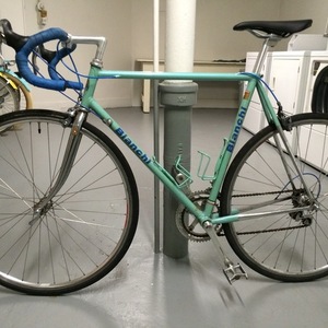 Bianchi Teal