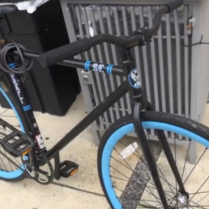 SE Bikes Lager Black and Blue