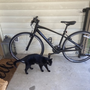 Specialized Sirrus Black