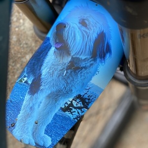 2018 Devinci Troy Blue