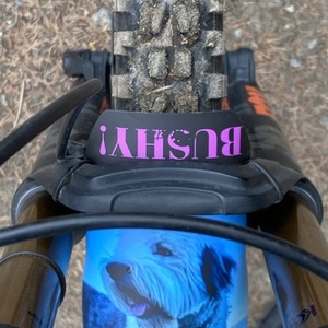 2018 Devinci Troy Blue