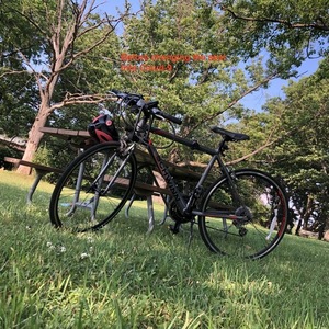 Schwinn 700c M Tourist S4969TGD, 24 inch Silver, gray or bare metal