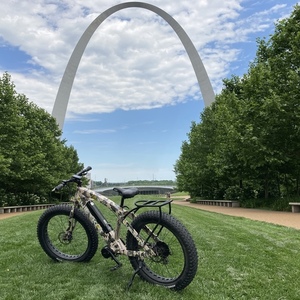 2018 Quiet Kat QK750 Brown and Stickers tape or other cover-up