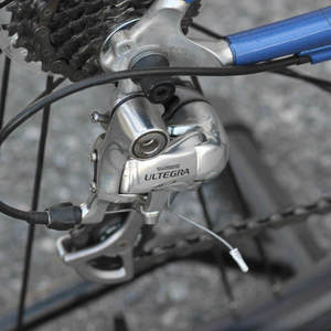 2021 Trek Pilot 5.0 Blue