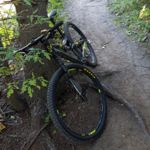 2014 Cannondale Scalpel 29 4 Silver, gray or bare metal