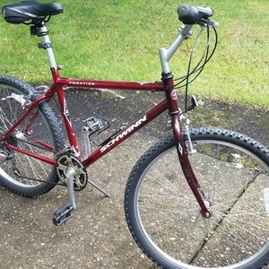 Schwinn Aerosport Red