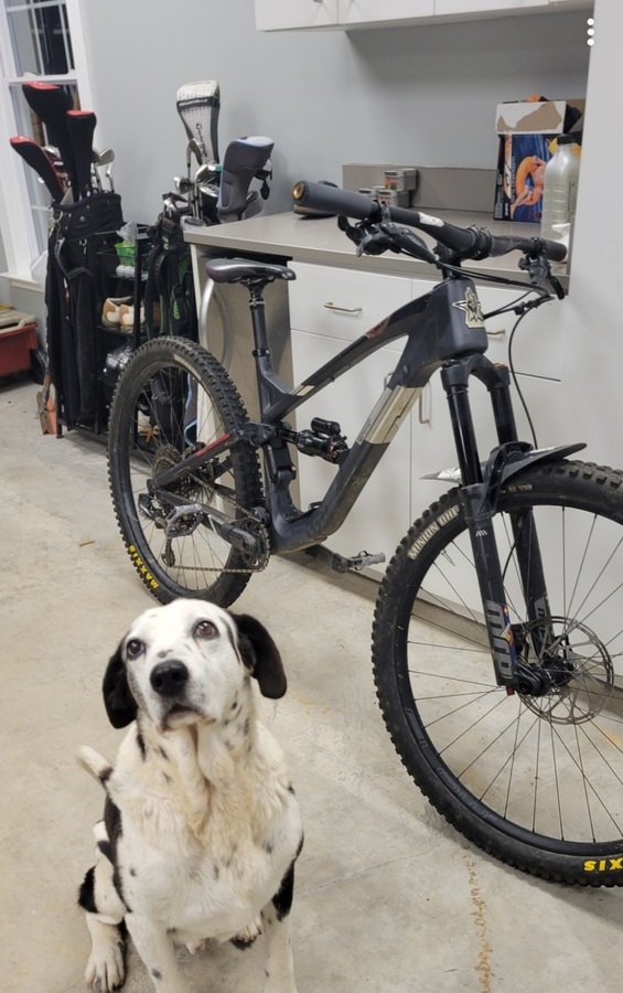 Bike photo