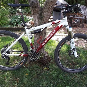 2010 Rocky Mountain Bicycles Element SE Red