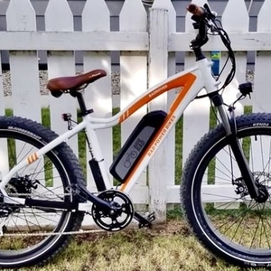 2020 Rad Power Bikes White