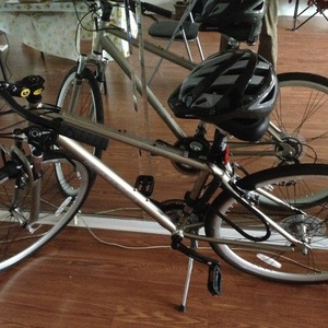 2015 Schwinn 28" Silver or Gray