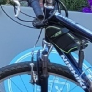 Nishiki 20 inches Hi-Ten Steel Frame Blue