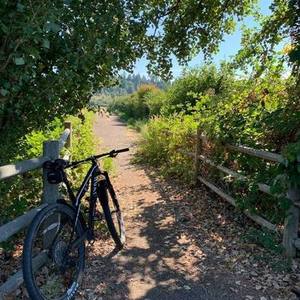 2021 Canyon bicycles Lux CF7 Black and White
