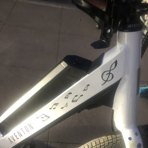 2021 Aventón pace 500 White