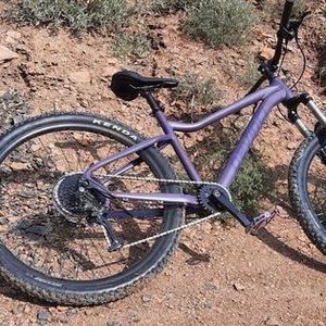 2021 Devinci Blackbird Altus 9s Purple