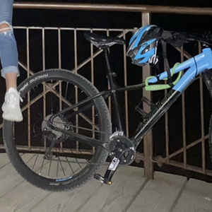 2017 Norco Bikes CHARGER Blue