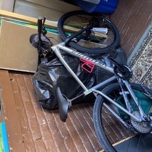 2020 Specialized Sirius X 3.0 Silver, gray or bare metal