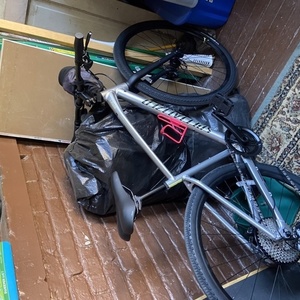 2020 Specialized Sirius X 3.0 Silver, gray or bare metal