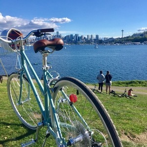 2020 Tokyobike Bisou Green