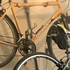 2005 Devinci Amsterdam Yellow or Gold