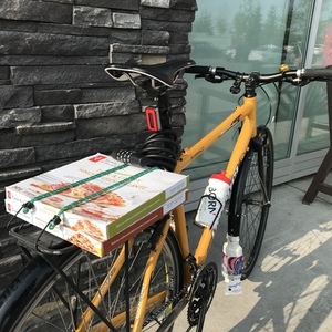2005 Devinci Amsterdam Yellow or Gold